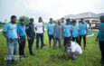 Final 200 seedlings to be planted in Ho as Volta FA nears 1,000-tree target