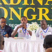 Volta FA outlines progress at 24th Congress in Ho
